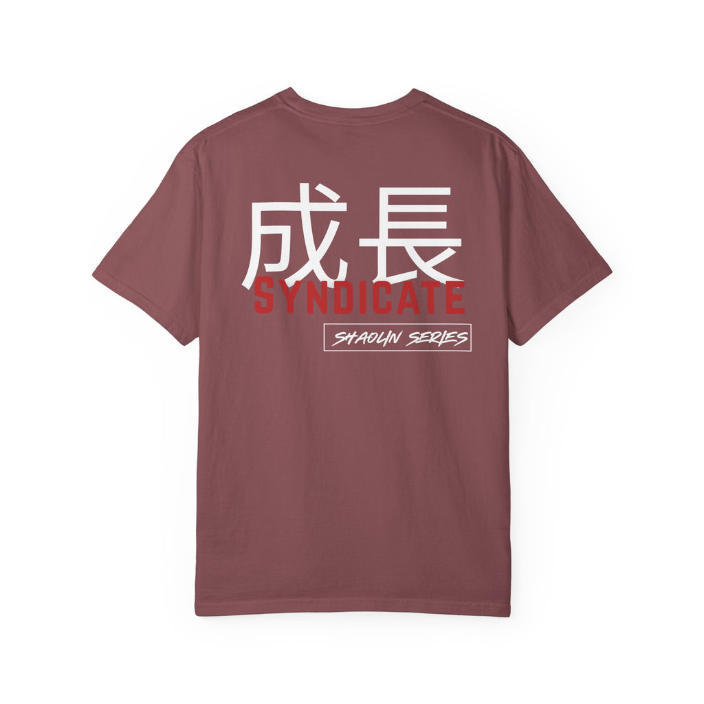 IRON MONK. Shaolin