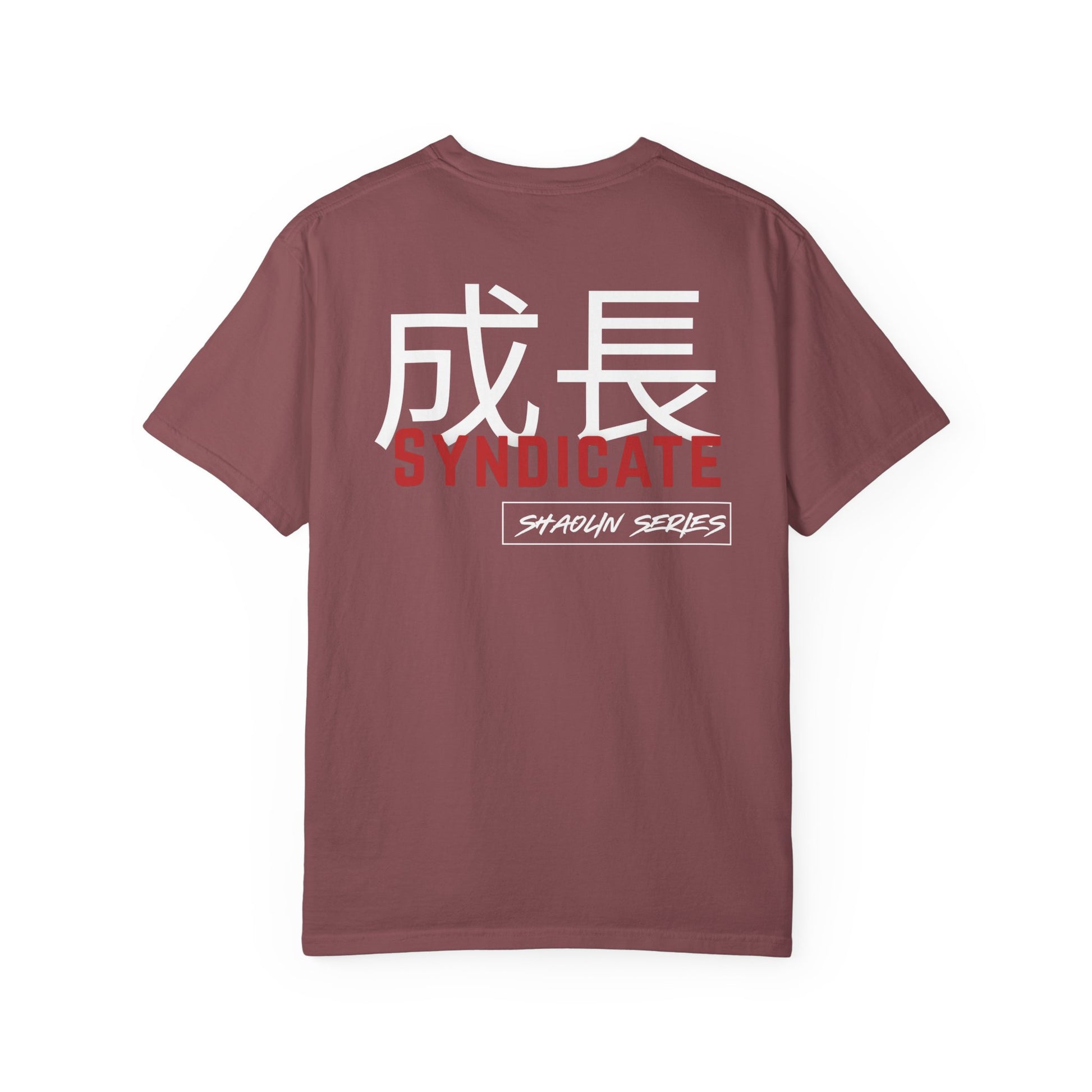 IRON MONK. Shaolin