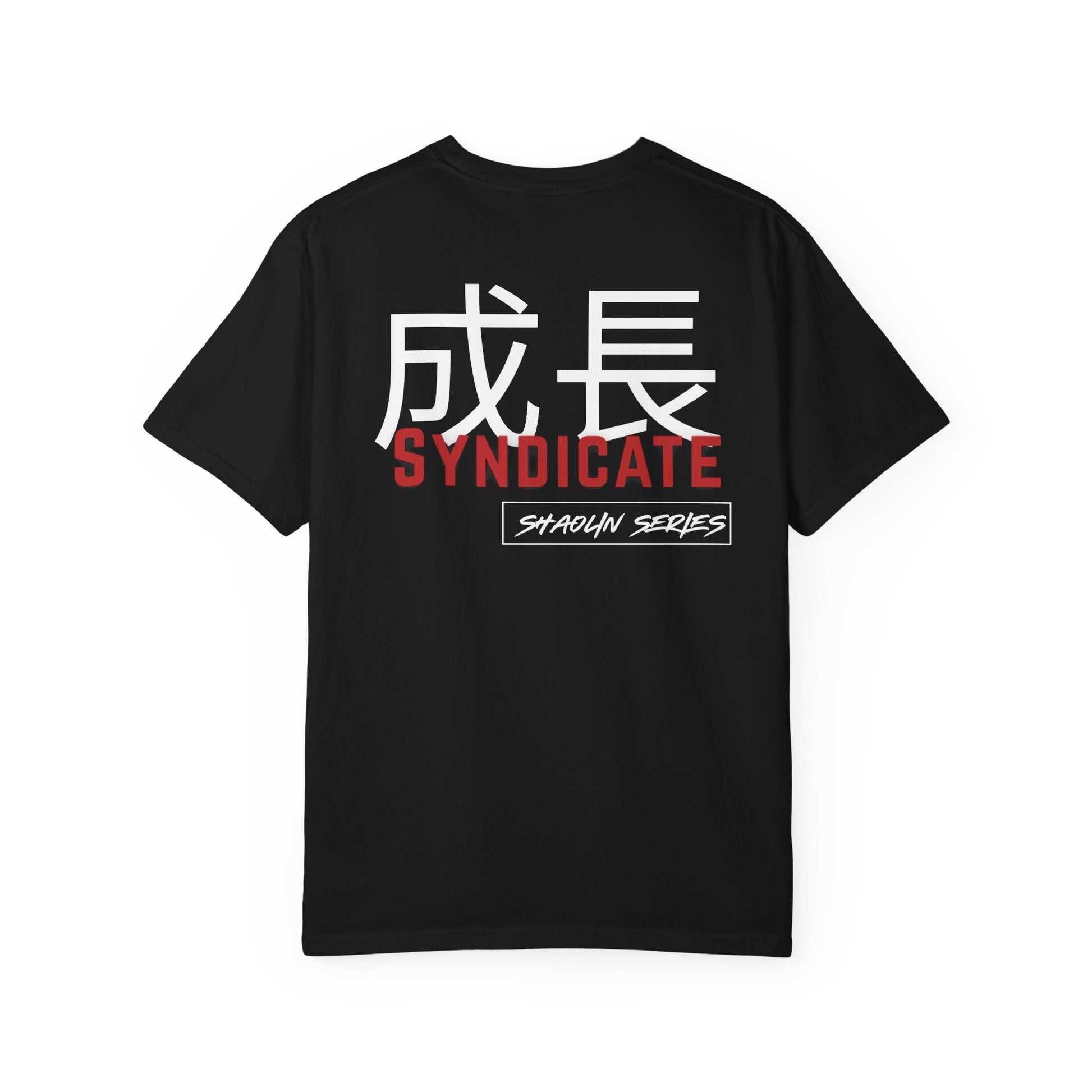 IRON MONK. Shaolin